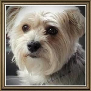 Meet your Posher, Rosemarie